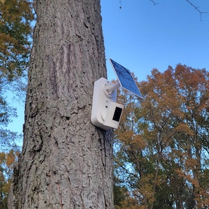 May include: A white security camera with a small solar panel attached to a tree trunk. The camera is mounted on the tree and is surrounded by a background of fall foliage and a clear blue sky.