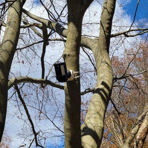 May include: A black and white birdhouse is mounted on a tree trunk, with a blue sky and tree branches in the background. The birdhouse is rectangular and has a small perch.