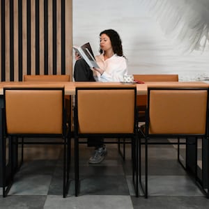 Kitchen chairs, Modern Loft Chair , Steel Frame with Upholstered Seat , Customizable Fabric and Color Options , Perfect for Dining Room