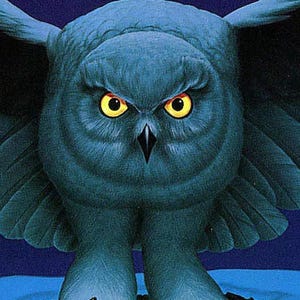 May include: Album cover art featuring a large, stylized owl with intense yellow eyes and a dark blue-green color palette. The text "RUSH FLY BY NIGHT" is at the top. The owl's wings are spread, and its talons are visible.
