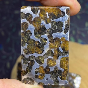 Pallasite meteorite - Etsy 日本