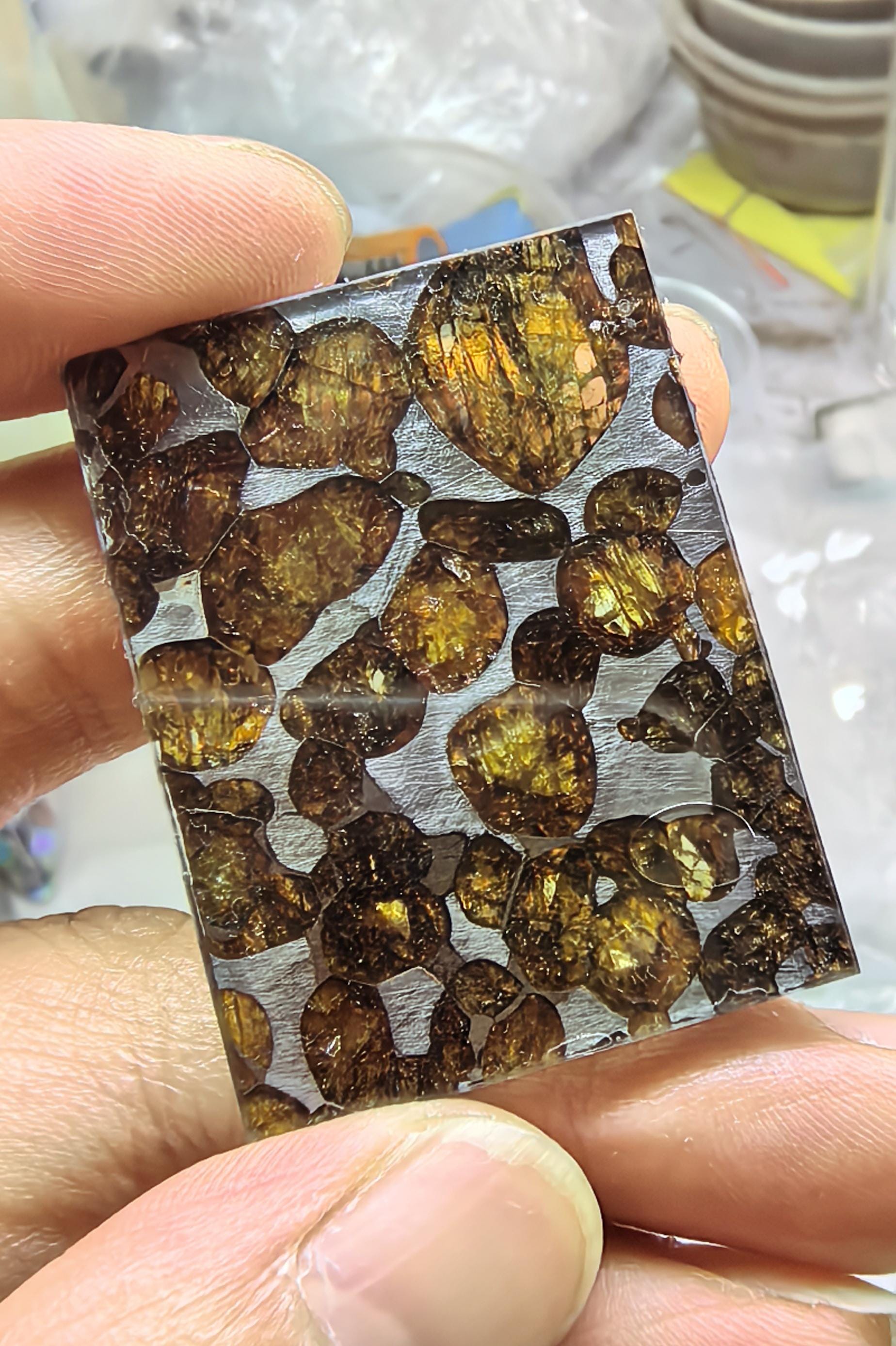 Pallasite slice - Etsy 日本