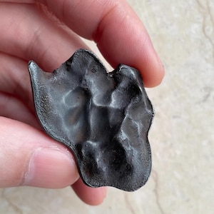 100% Natural Sikhote Alin Iron Meteorite Oriented Meteorite -A Classic  Meteorite 42 Grams