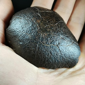 May include: A dark brown, smooth, round rock with a textured surface. The rock has a few cracks and lines on its surface.