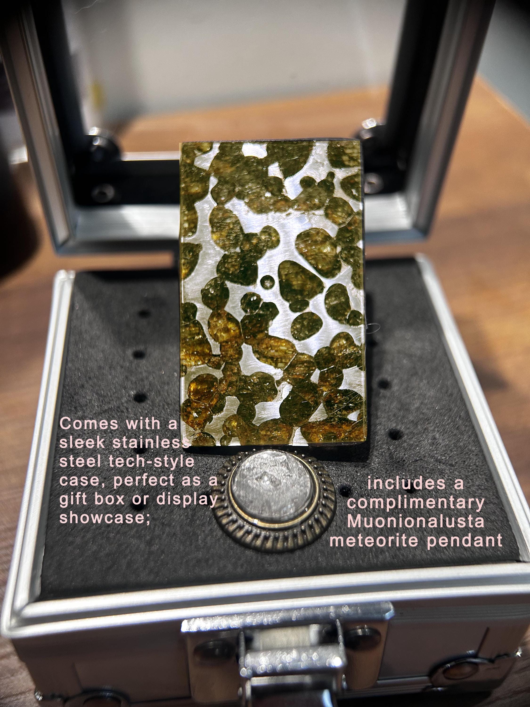 Pallasite Meteorite - Etsy
