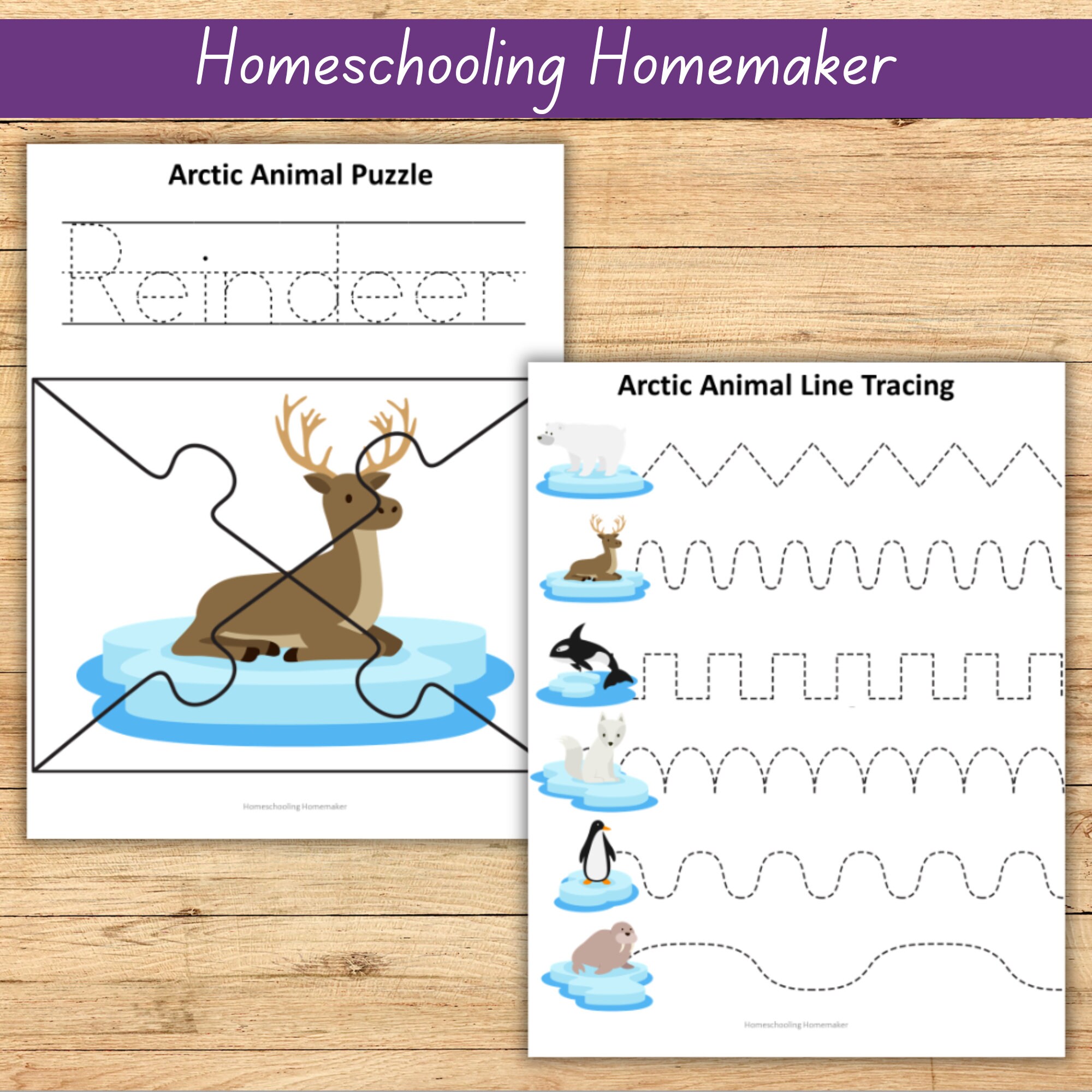 Arctic Animal Activity Worksheets for Preschool, Kindergarten or