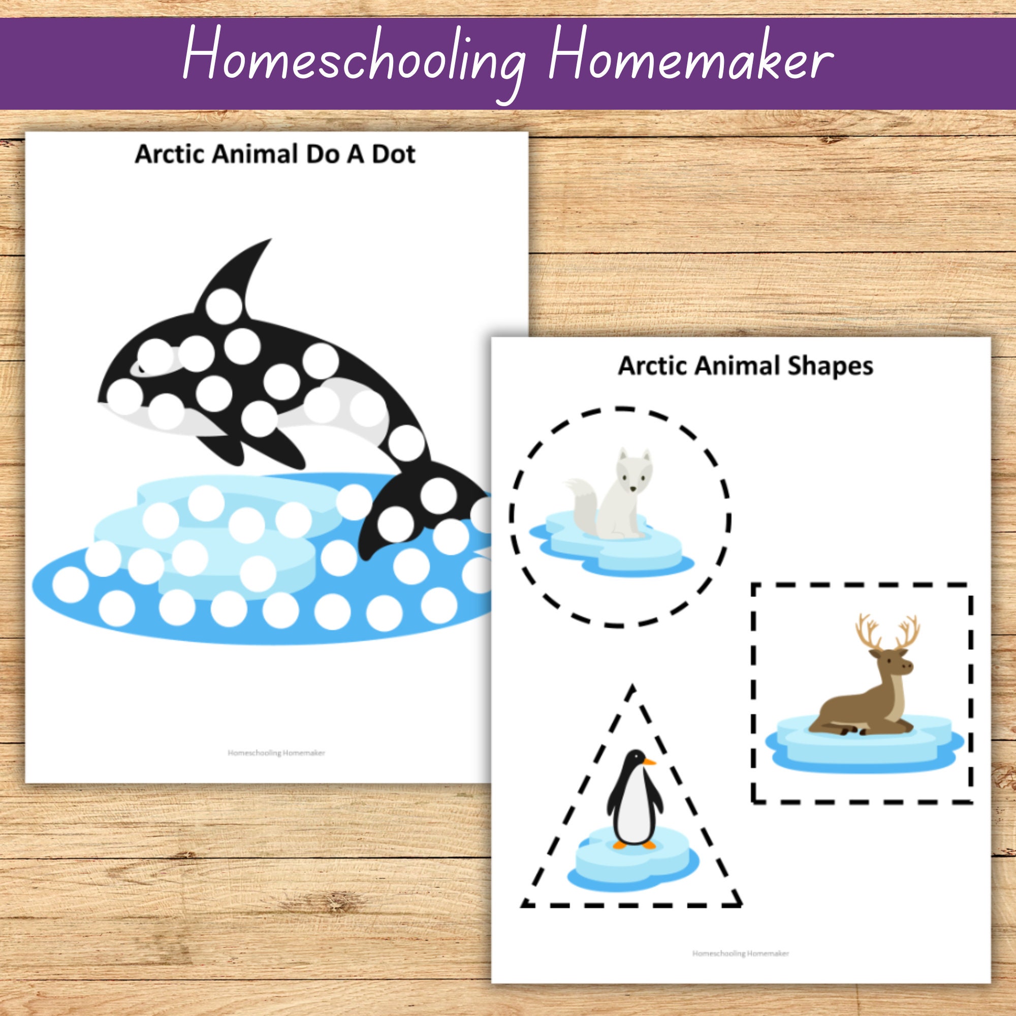 Arctic Animal Activity Worksheets for Preschool, Kindergarten or