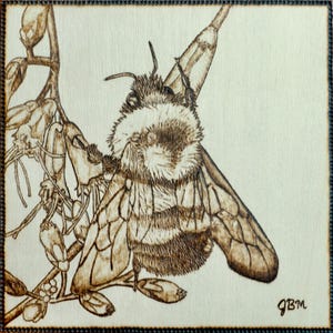 May include: A detailed wood-burned artwork of a bumblebee perched on a flowering branch. The bee is rendered with intricate detail, showcasing its fuzzy body and delicate wings. The artwork is framed with a dark border and signed with the initials "gBM".