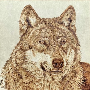 May include: A wood burning art piece featuring a detailed portrait of a wolf. The artwork uses varying shades of brown and tan to depict the wolf's fur, pointed ears, and focused eyes. The initials JBM are visible in the bottom left corner.