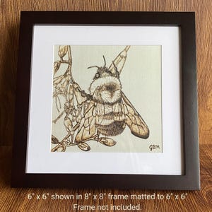 May include: A framed wood-burned art piece featuring a detailed depiction of a bee on a branch. The artwork is framed in a black frame with a white mat. The image is 6" x 6" and shown in an 8" x 8" frame. The artist's initials, GBM, are visible.