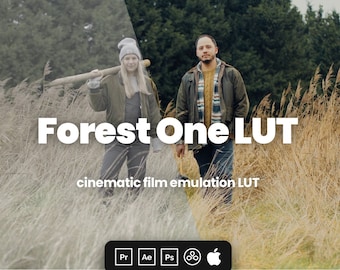 Forest One LUT - 数秒でプロフェッショナルなカラーを実現! - Adobe Premiere、Davinci Resolve、Final Cut Pro などに対応した映画用 LUT