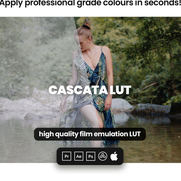 Cascata LUT - Professional colours in seconds! - Cinematic Film LUTs for Adobe Premiere, Davinci Resolve, Final Cut Pro and more