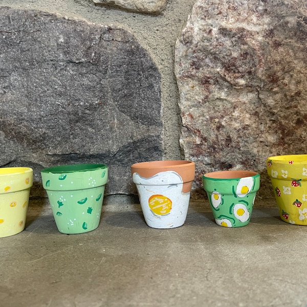 Painted Terracotta Plant Pots