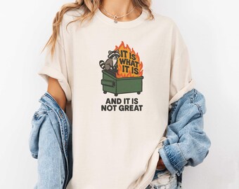 It Is What It Is Shirt, Funny Raccoon Shirt, Dumpster Fire Sarcastic Meme Shirt, Funny Gift Minimalist Quote Shirt, Existential Humor Tee