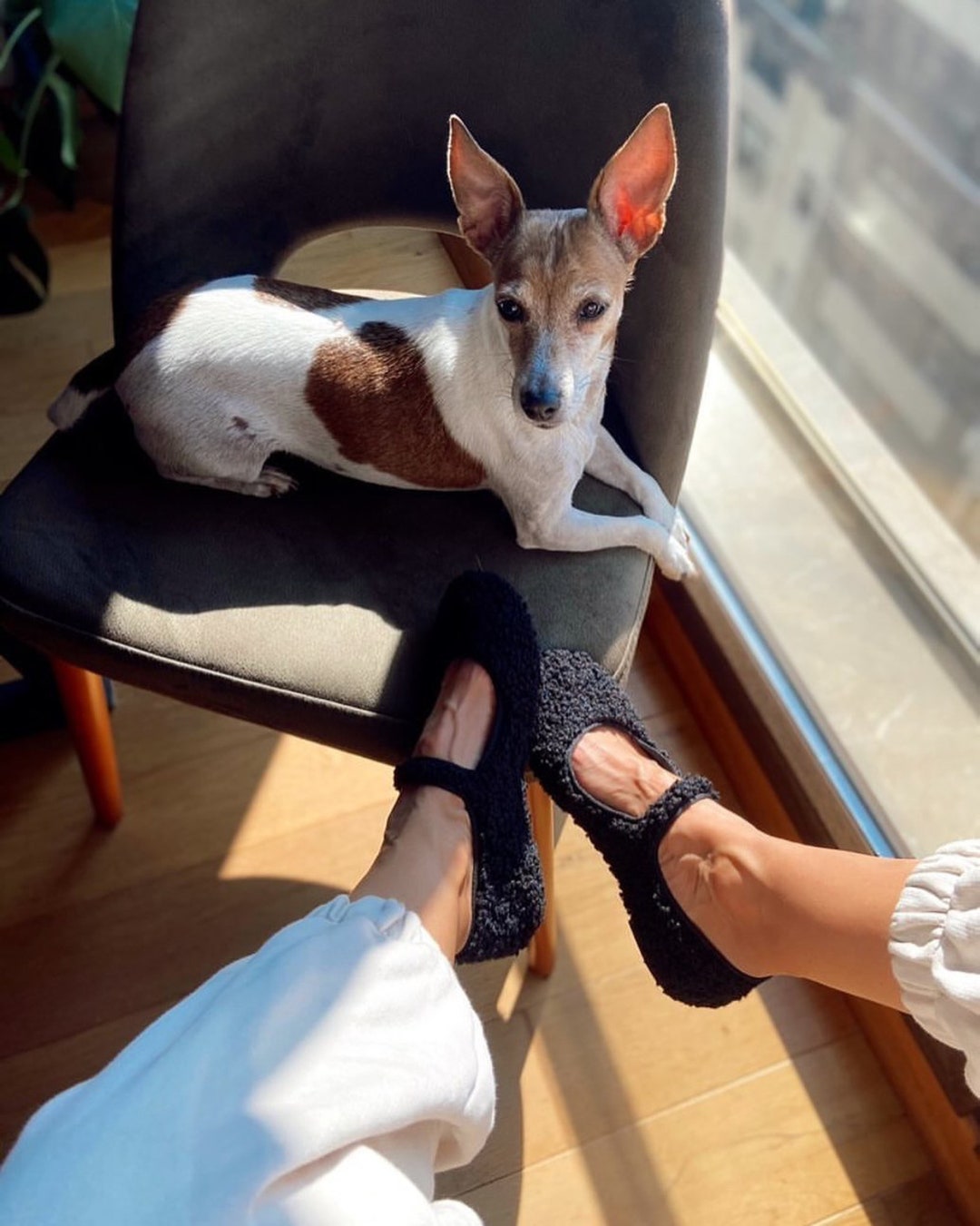 Teddy Mary Janes