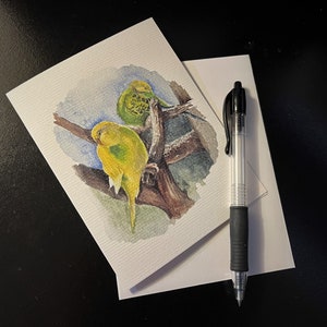 Paar-O-Keets