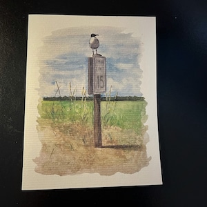 Snelheidslimiet 15