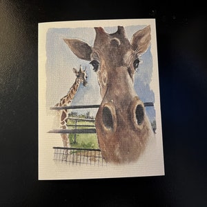 Giraffen!