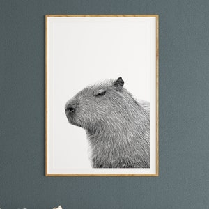 Capybara print 11"x14" Black and white poster Premium quality handmade picture Exotic animal wall art Unframed