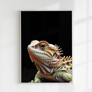Bearded dragon poster 11&quot;x14&quot; Reptile lover gift Exotic animal print Black background