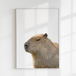 May include: A close-up portrait of a capybara, a large rodent native to South America. The capybara has a brown and grey coat and is looking to the left of the image. The background is white.