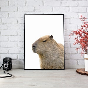 Capybara art print, Exotic animal gifts, Capybara poster, Trendy apartment decor, capybara