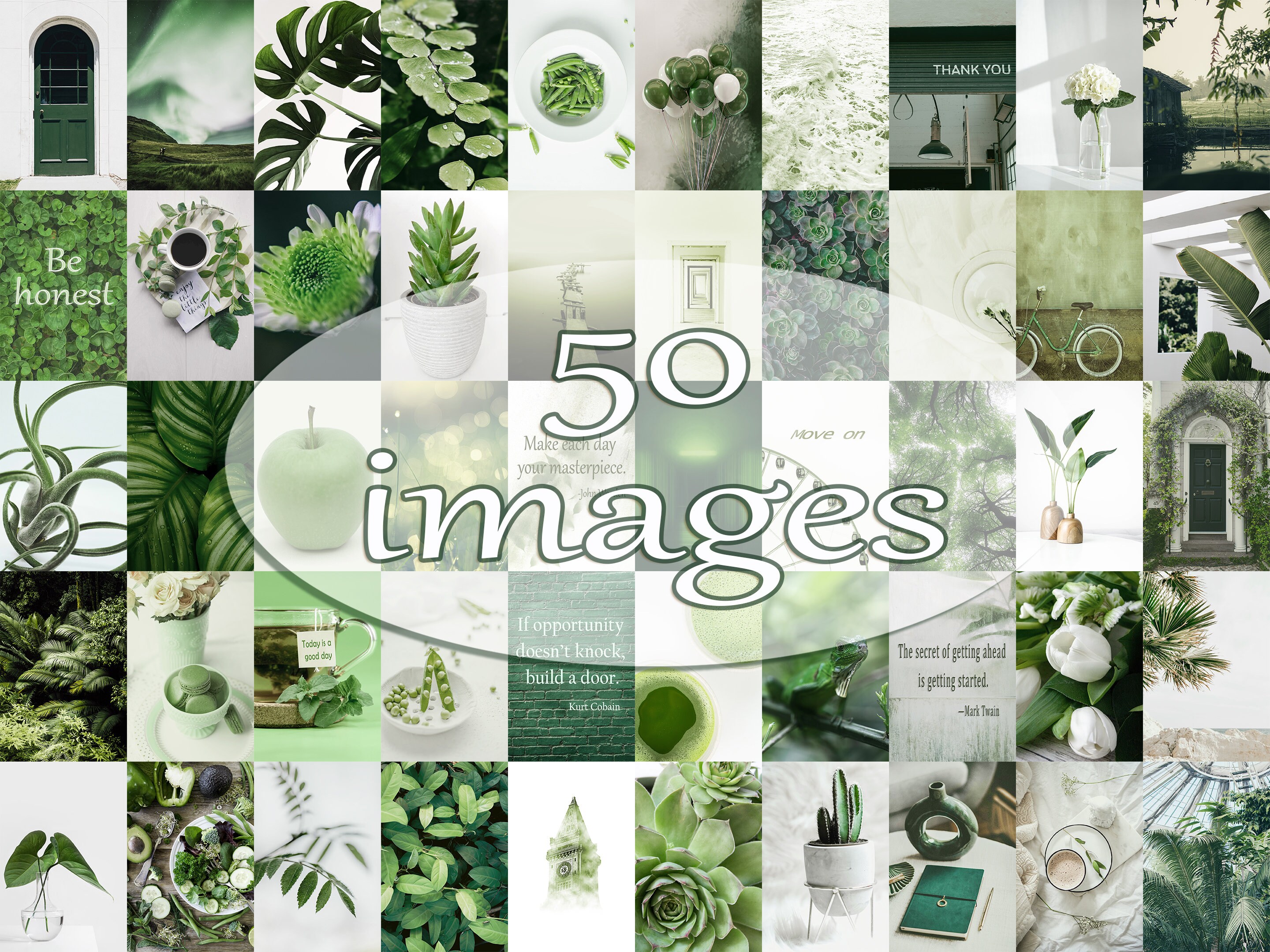 Gallery image with a fresh perspective