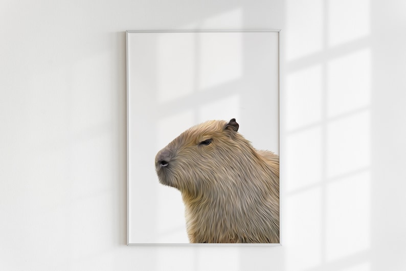 May include: A close-up portrait of a capybara, a large rodent native to South America. The capybara has a brown and grey coat and is looking to the left of the image. The background is white.