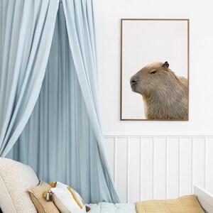 Capybara art print, Exotic animal gifts, Capybara poster, Trendy apartment decor, capybara
