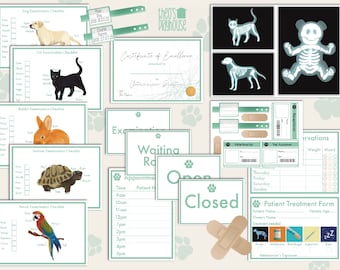 Vet Dramatic Play Checklist Vet Pretend Preschool Paperwork - Etsy