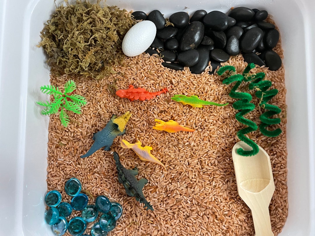 Dinosaur Sensory Rice Kit - Etsy