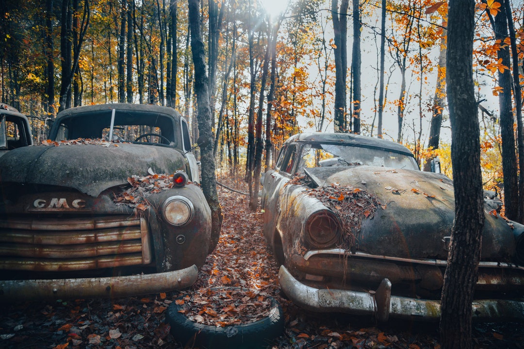 Classic Partners Two Rusty Old Cars Abandoned at Old Car - Etsy