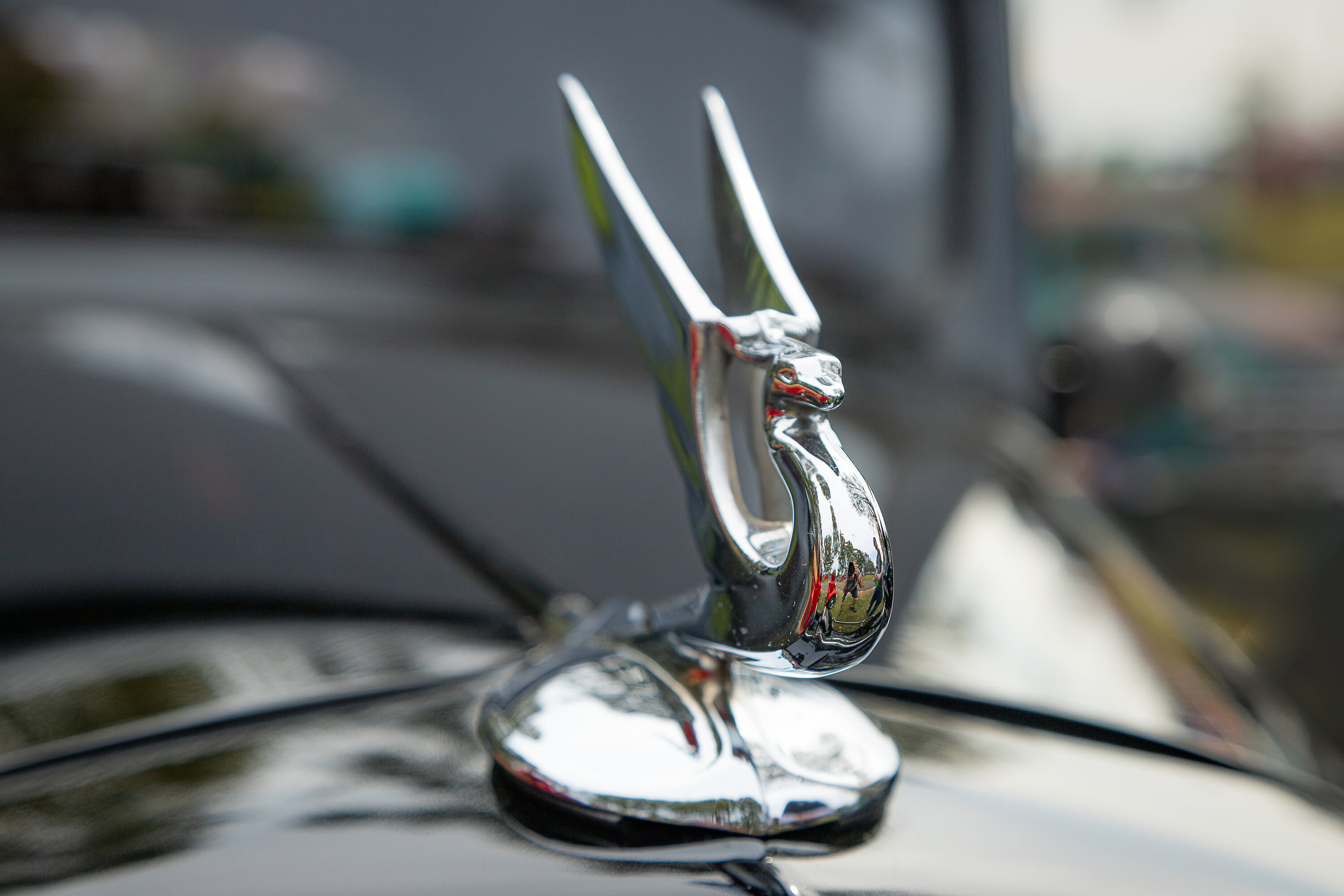 Pegasus Hood Ornament Classic Car Fine Art Digital Download Print
