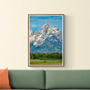 Grand Teton National Park, Bison auf Elk Ranch Wohnungen Landschaft Fotografie Drucke