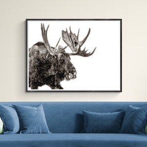 Bull Moose Portrait Grand Tetons Wildlife Photography, Black and White