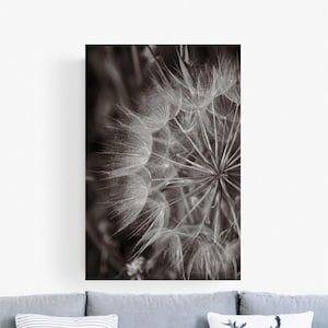 Fotoprint paardenbloem, zwart-wit natuurpatroon