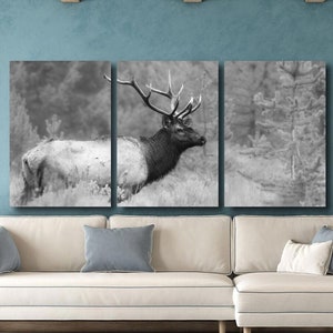 Bull Elk Wildtierfotografie Schwarzweiß Grand Teton National Park