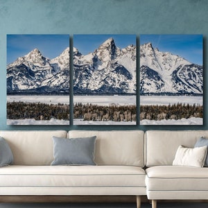 Winterwald in den Tetons Landschaftsfotografie Grand Teton National Park
