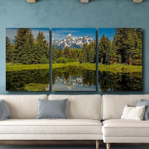 Schwabacher Landung Grand Teton National Park Landschaft Naturfotografie