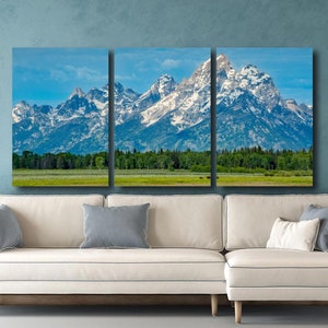 Grand Teton National Park Bison Landschaft Fotografie Druck