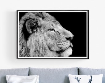 Perfil de león en blanco y negro: fotografía artística de animales salvajes