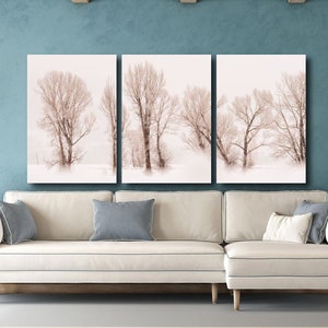 Grand Teton Nationalpark Winter Minimalismus Sepia Landschaft Fotodruck