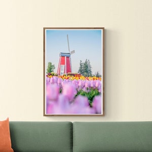 Bunte Tulpen und Windmühle Oregon Makro Blume Naturfotografie Druck