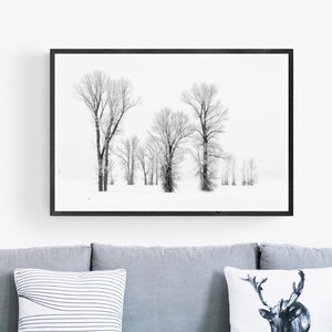 Schwarzweißwald, Grand Teton, Nationalpark, Winterszene Landschaftsfoto