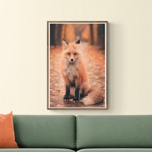 Fuchs Portrait, Herbst Blätter, Tier Augen- Fotografie Grand-Teton-Nationalpark Wyoming