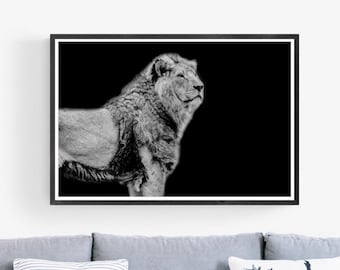 Lion Photography Black and White Print Wildlife Fine Art