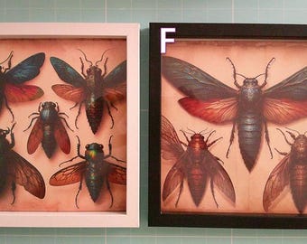 Framed Entomology Art Prints: Custom Insect Gallery Wall Set