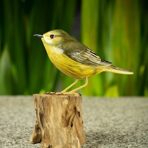 May include: A detailed, hand-painted bird figurine with yellow and olive-green plumage, perched on a small, textured wooden stump. The bird has a slender beak and is set against a blurred green background, suggesting a natural setting.