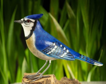 Hand Carved, Hand Painted Wooden Bird Sculpture of a Bluejay