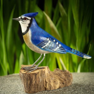 Hand Carved, Hand Painted Wooden Bird Sculpture of a Bluejay